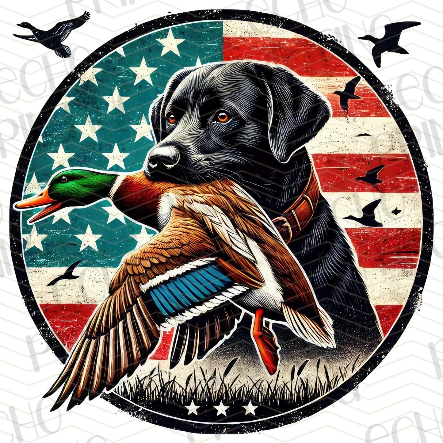 FSHT 156 – EAGLE FLAG FISHING