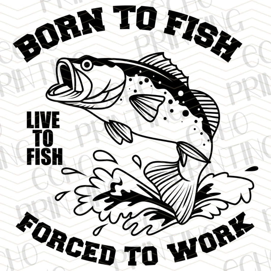 FSHT 3 – BORN TO FISH FORCED TO WORK