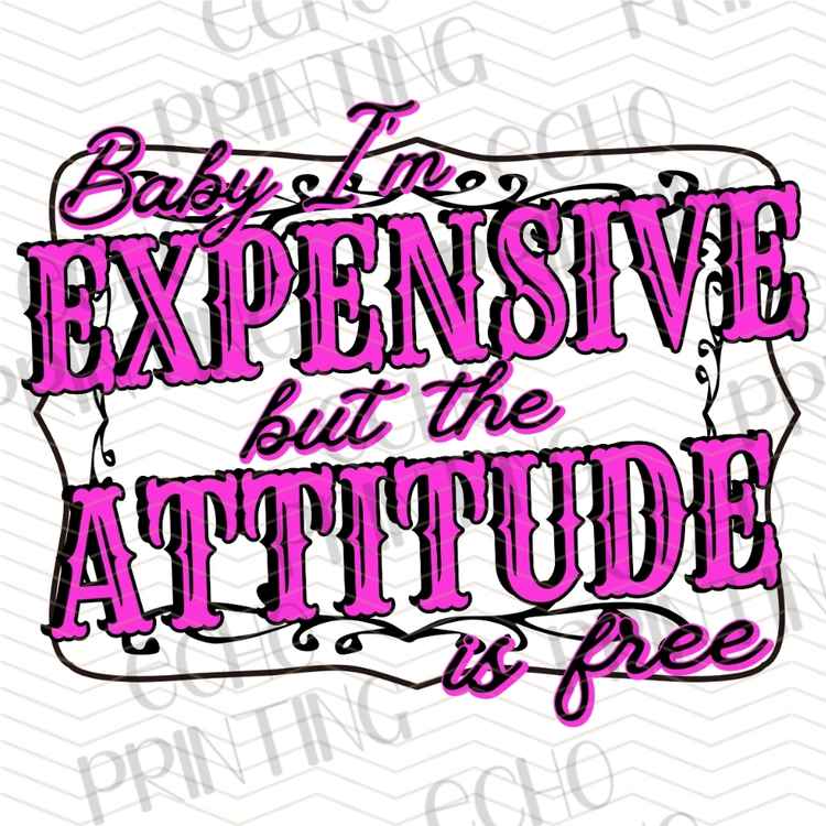 FSSG 1008 - EXPENSIVE ATTITUDE FREE OF CHARGE