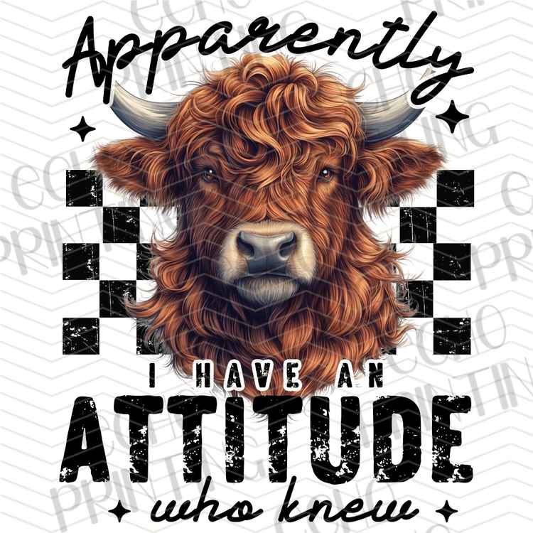 FSSG 1047 - APPARENTLY I HAVE ATTITUDE