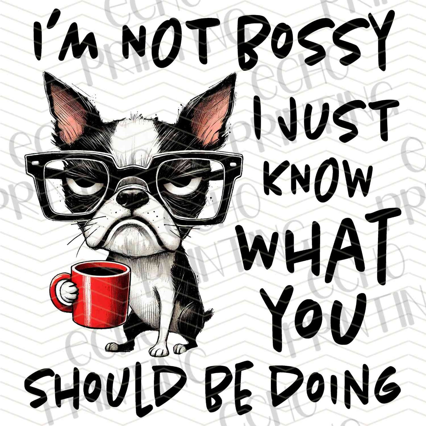 FSSG 439 - NOT BOSSY JUST KNOWING
