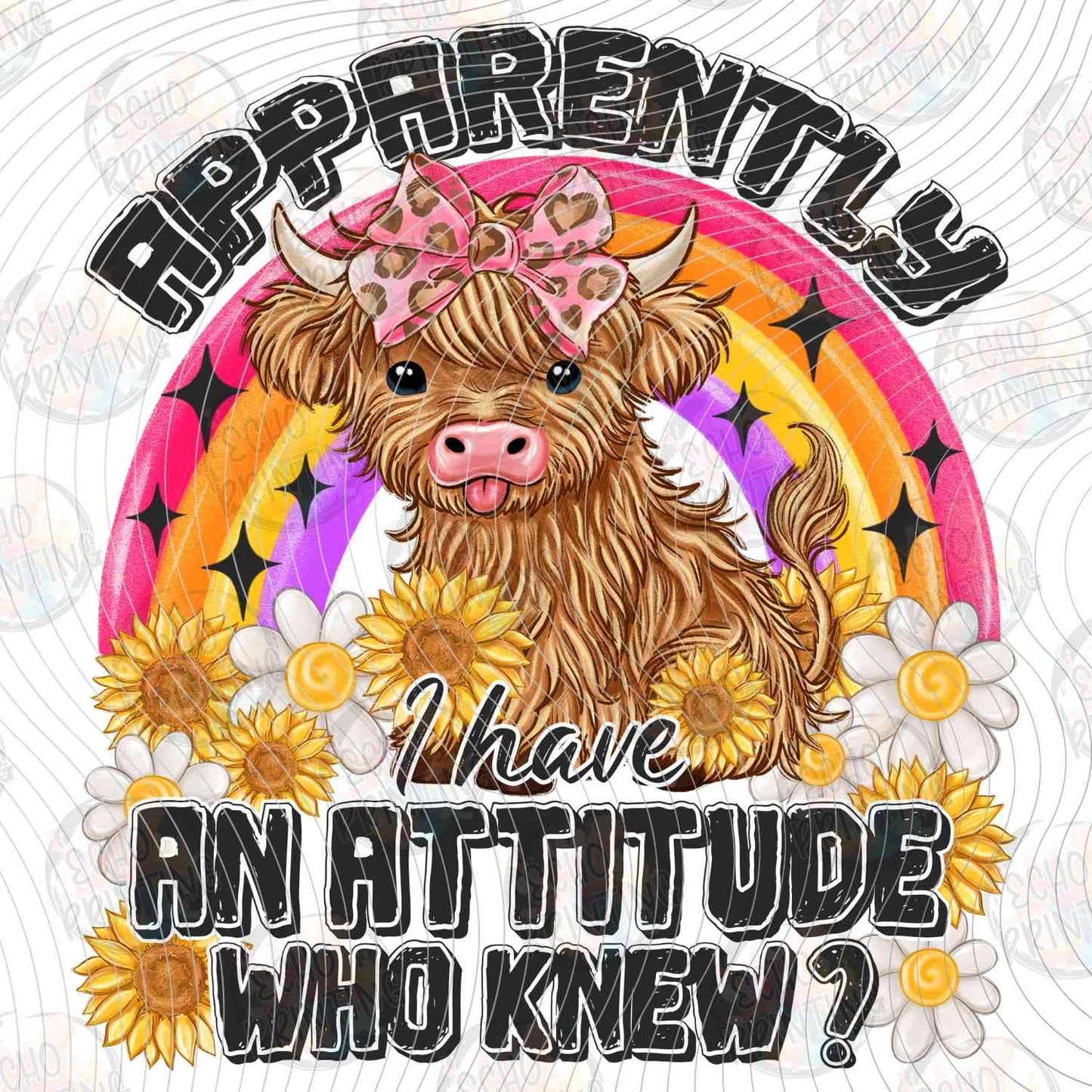 FSSG 625 - APPARENTLY I HAVE AN ATTITUDE WHO KNEW