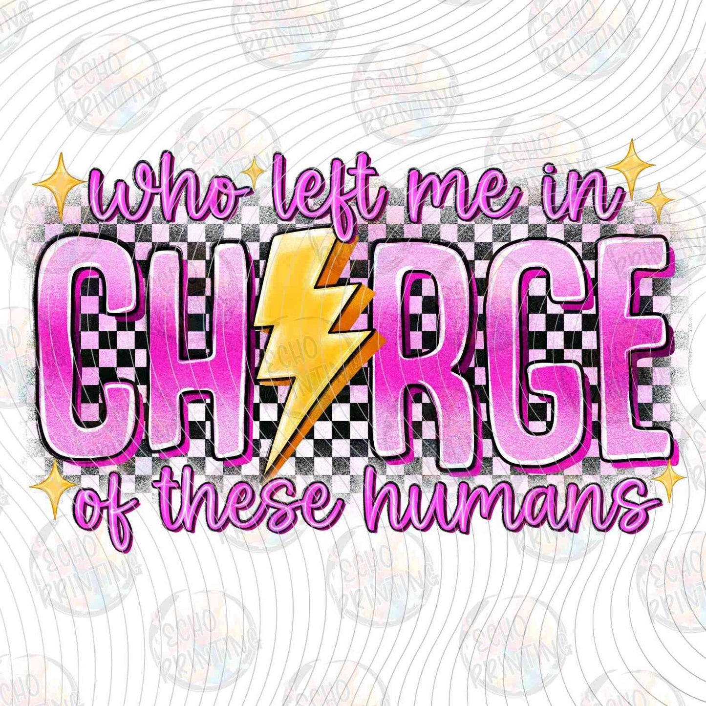 FSSG 654 - WHO LET ME IN CHARGE FUNNY QUOTE
