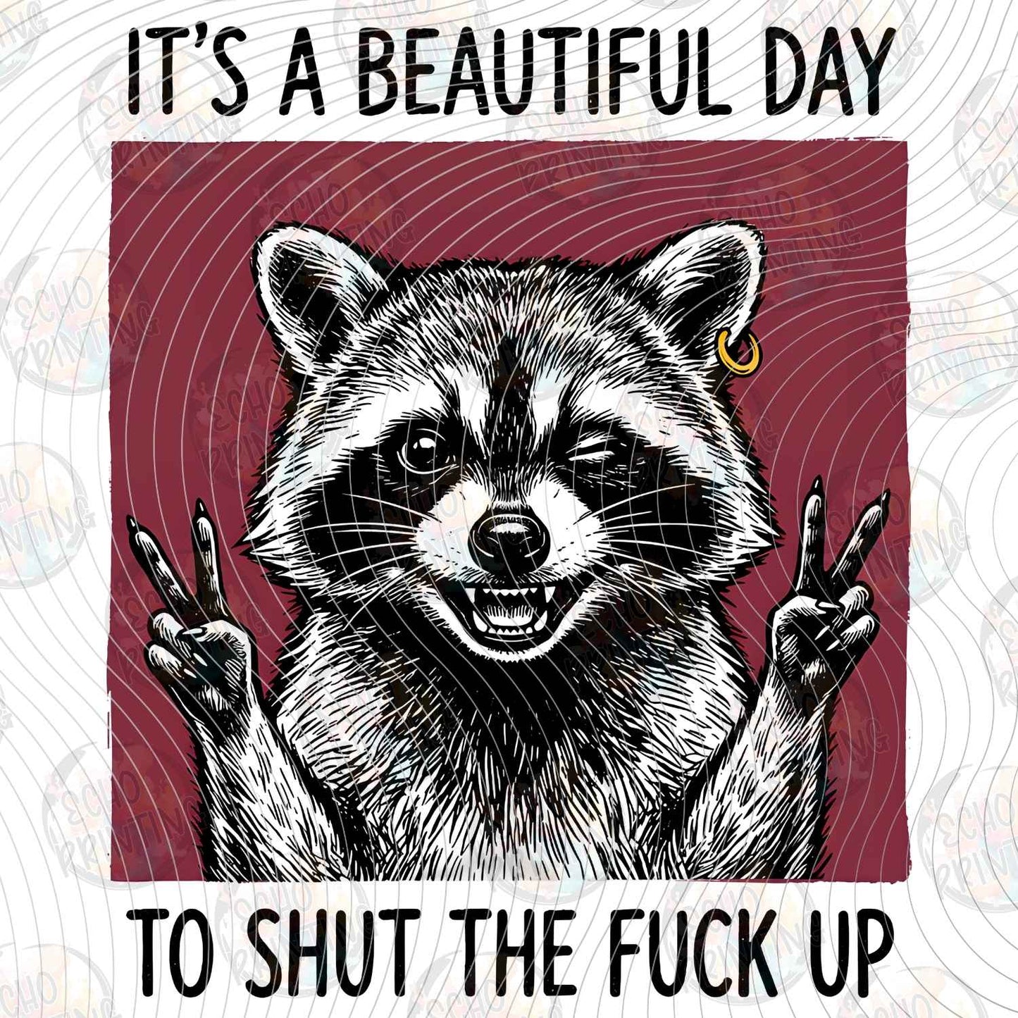 FSSG 841 - BEAUTIFUL DAY RACCOON
