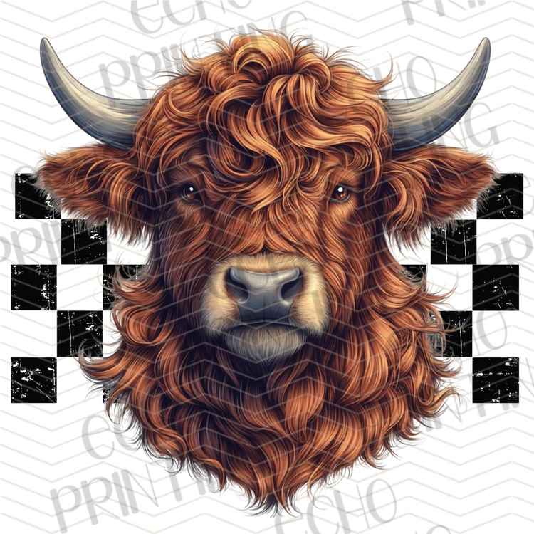 FSSG 977 - HIGHLAND COW RETRO PORTRAIT
