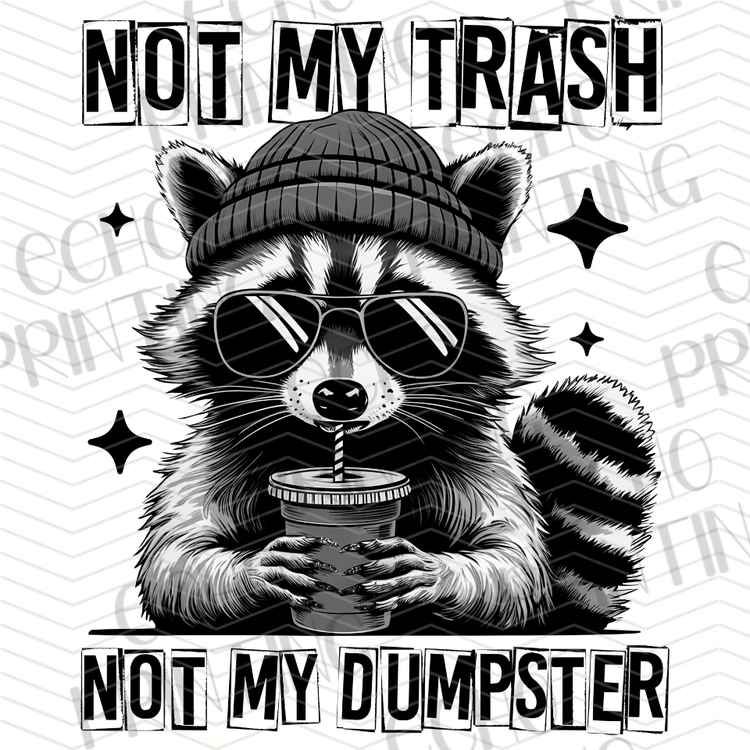 FSSG 997 - NOT MY DUMPSTER RACCOON