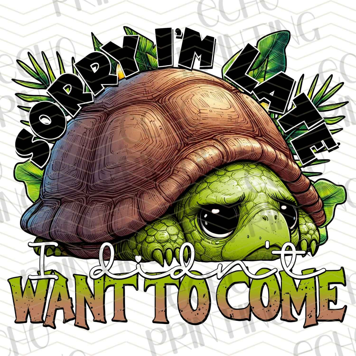 FSSG 313 - SORRY IM LATE I DIDNT WANT TO COME TURTLE