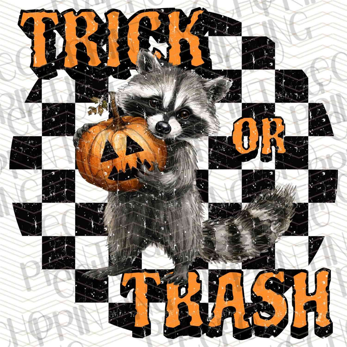 FSSG 378 - TRICK OR TRASH RACCOON
