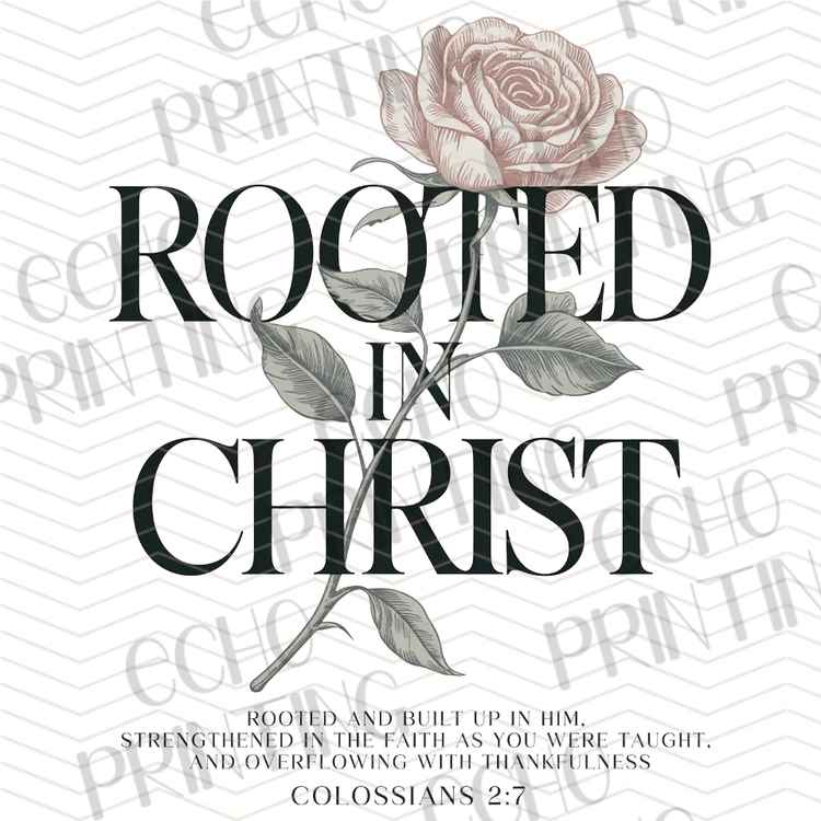 FTHG 1295 - ROOTED IN CHRIST FAITH