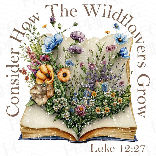 FTH 104 – CONSIDER HOW THE WILDFLOWERS GROW