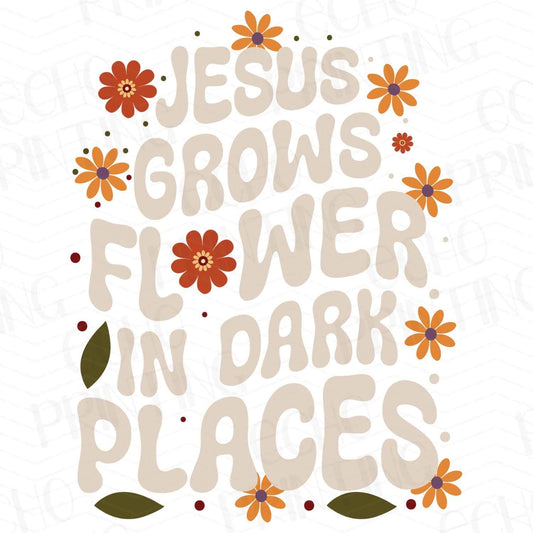 FTH 331 – JESUS GROWS FLOWERS IN DARK PLACES