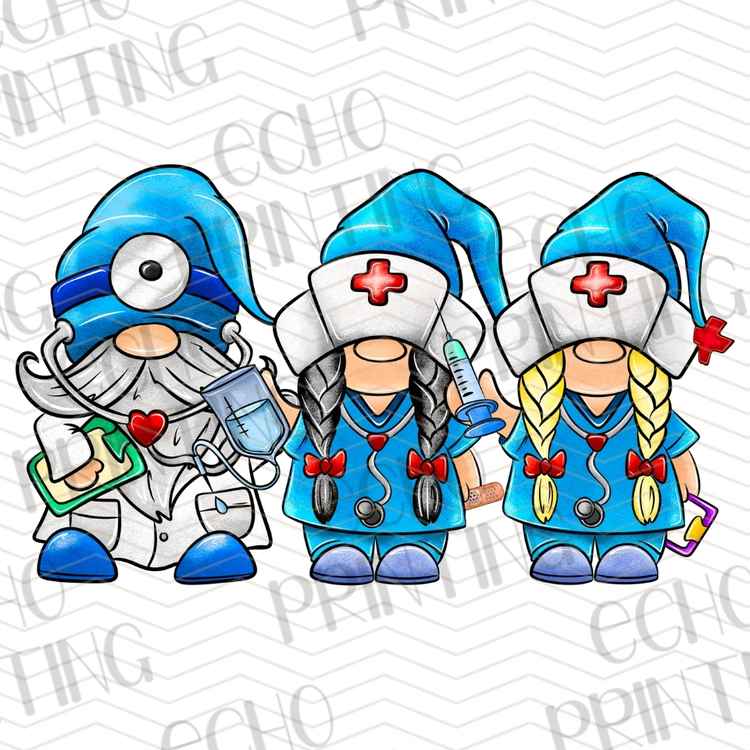 HLTCR 433 - WINTER NURSE HEALTHCARE PROFESSIONAL THEME