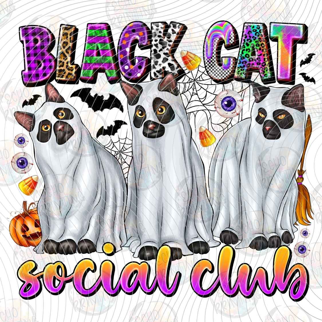 HLW 1451 - BLACK CAT SOCIAL CLUB