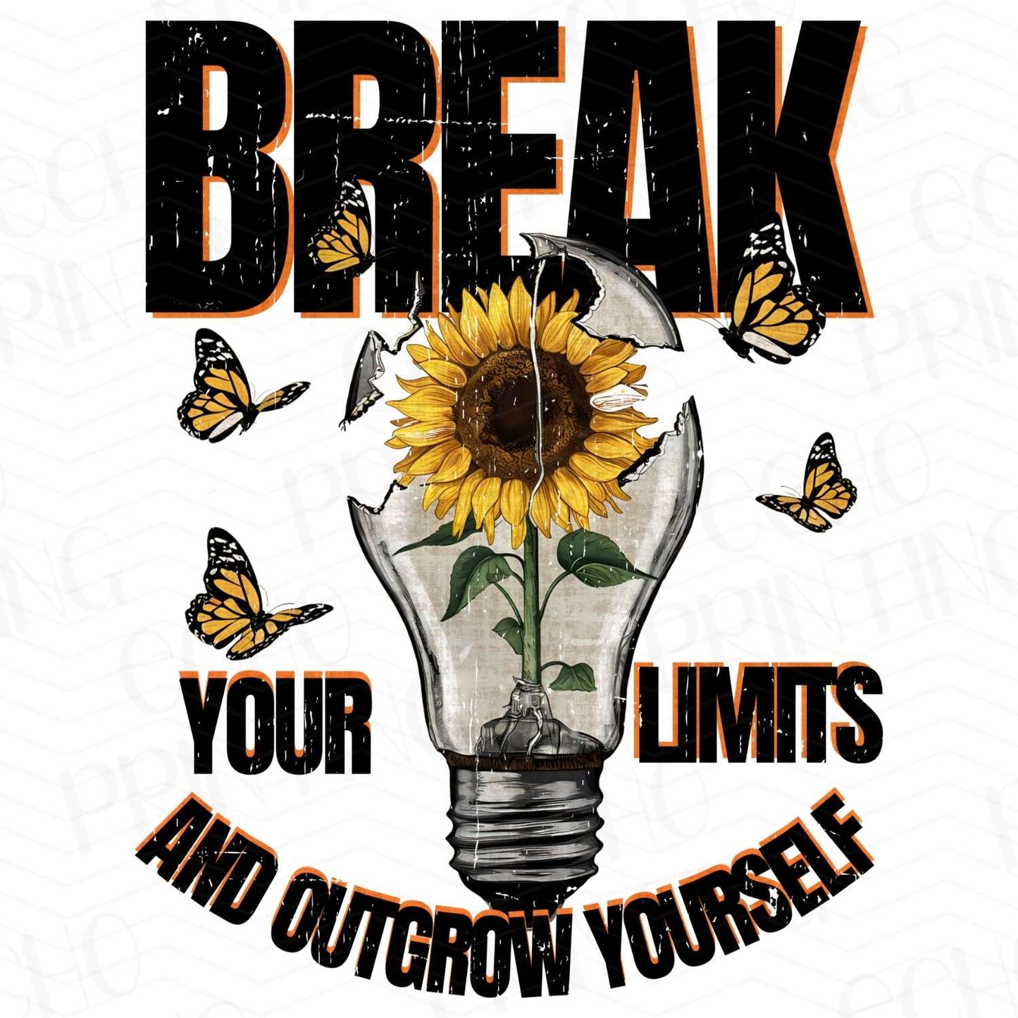 MHSM 8 – BREAK YOUR LIMITS