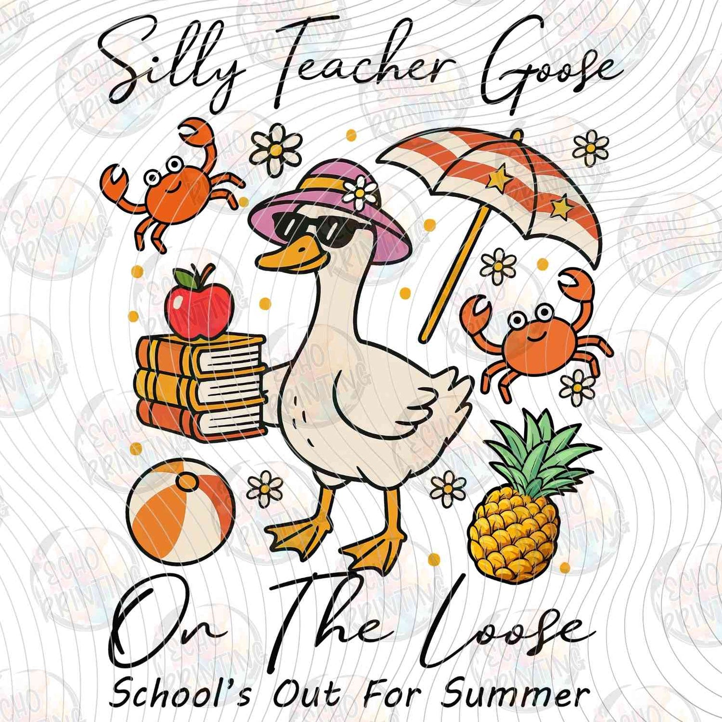 LDOS 60 - SILLY TEACHER GOOSE ON THE LOOSE