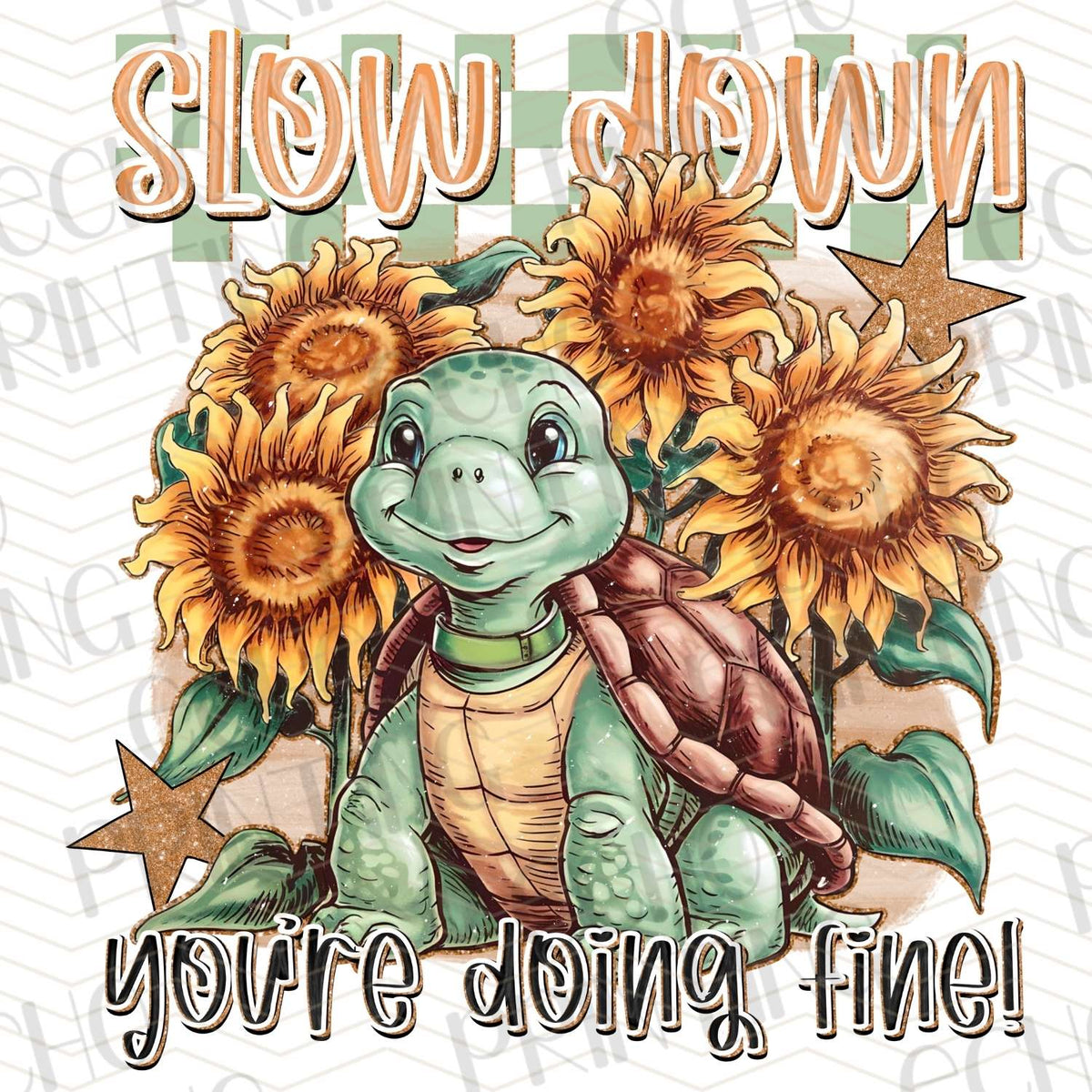 MHSM 100 - SLOW DOWN YOU’RE DOING FINE TURTLE