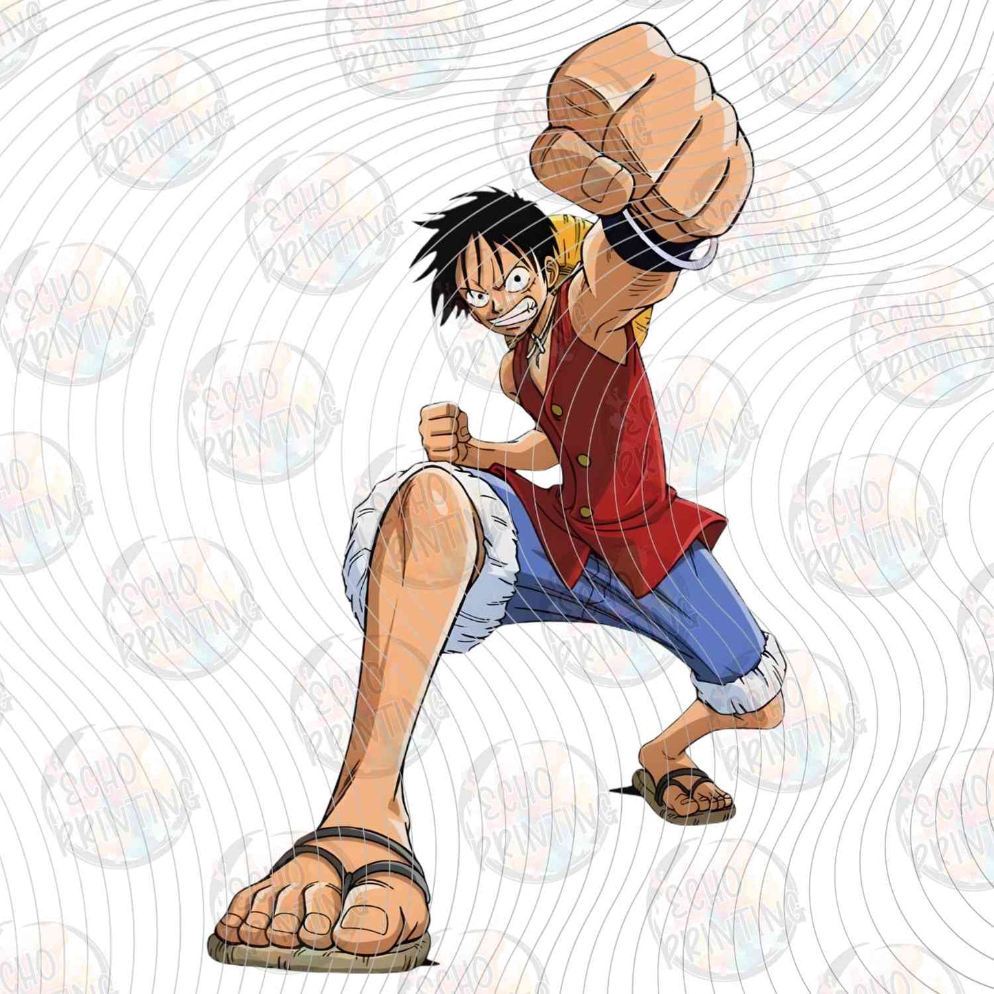 NPECG 18 - STRAW HAT HERO POSE