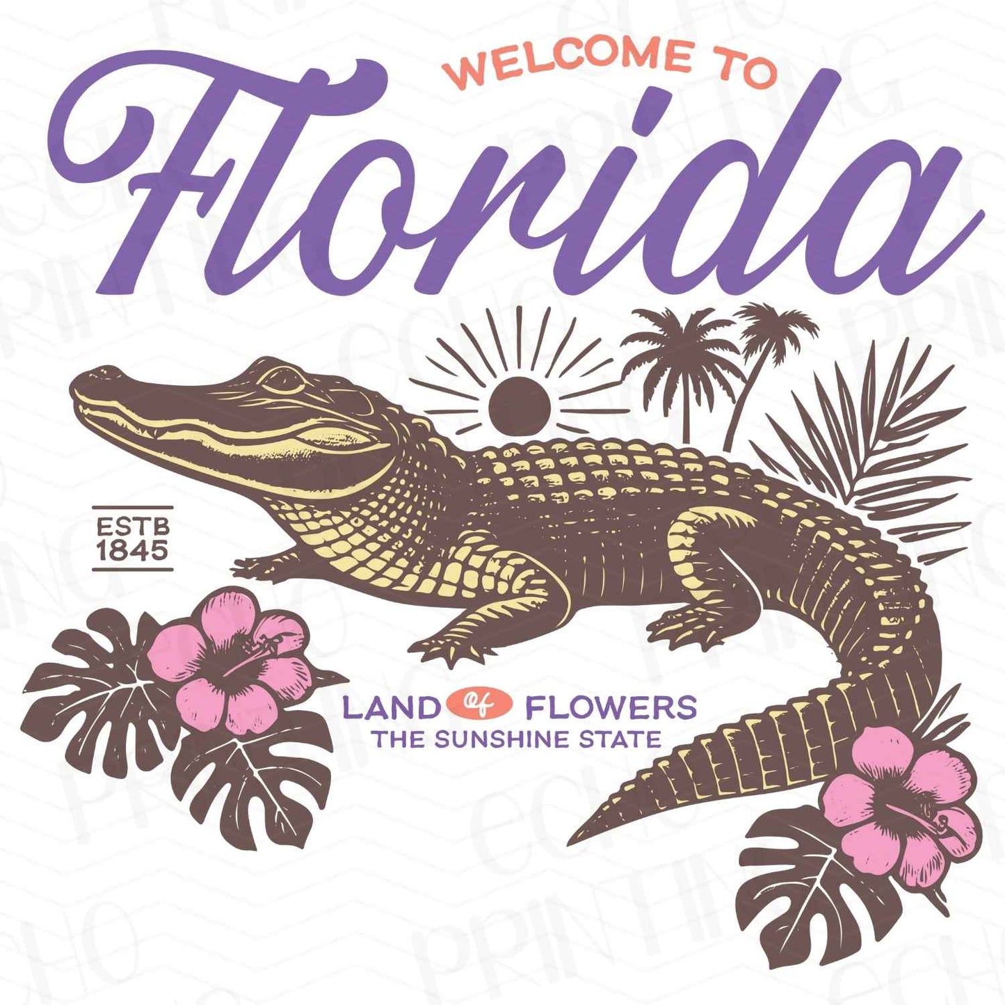 SMRG 229 - FLORIDA