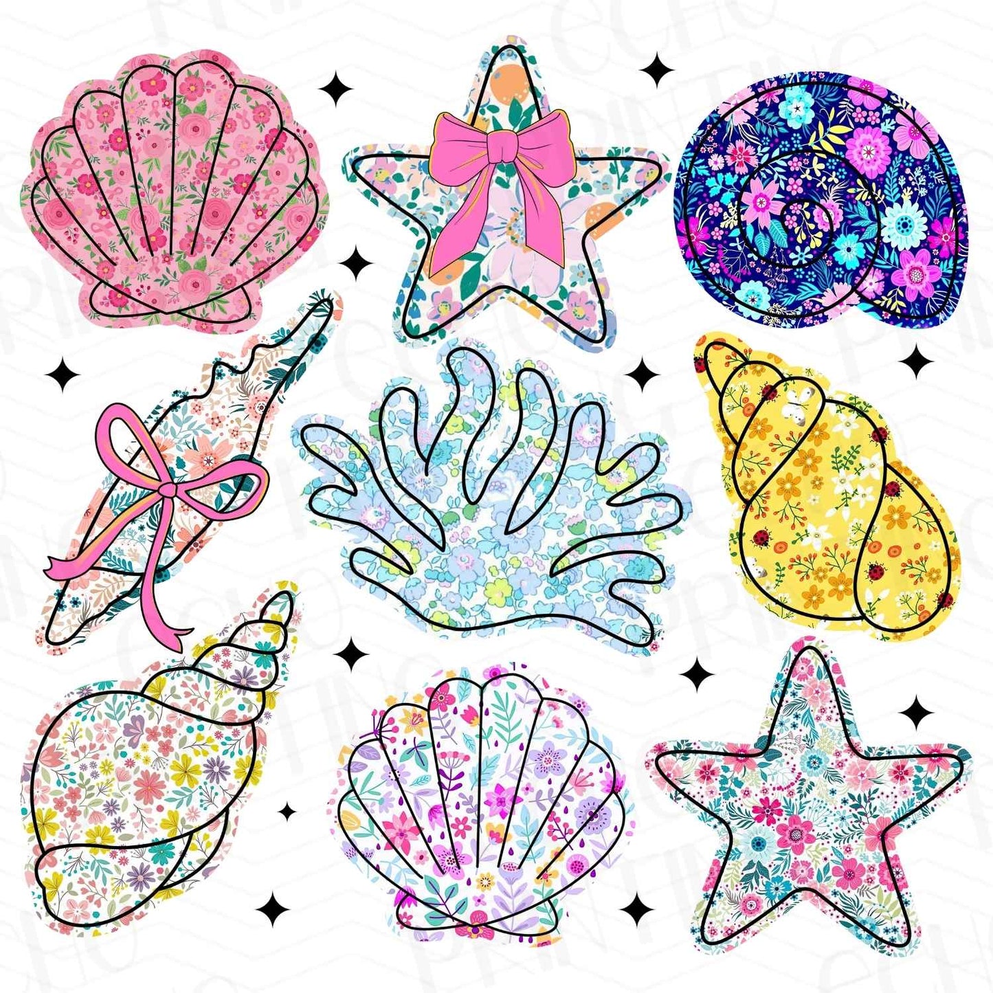 SMRG 59 - SEA LIFE SHELLS
