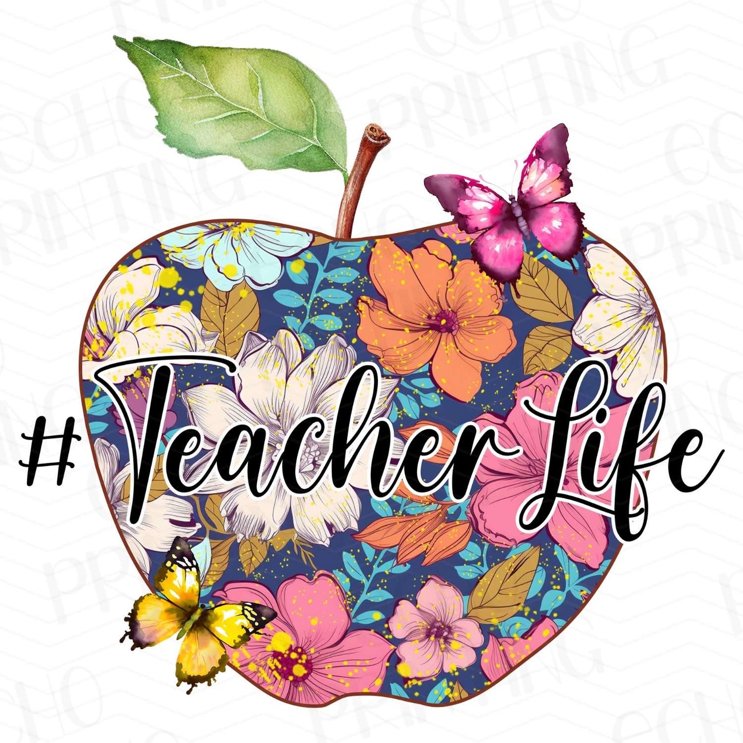 TCHR 220 – TEACHER LIFE