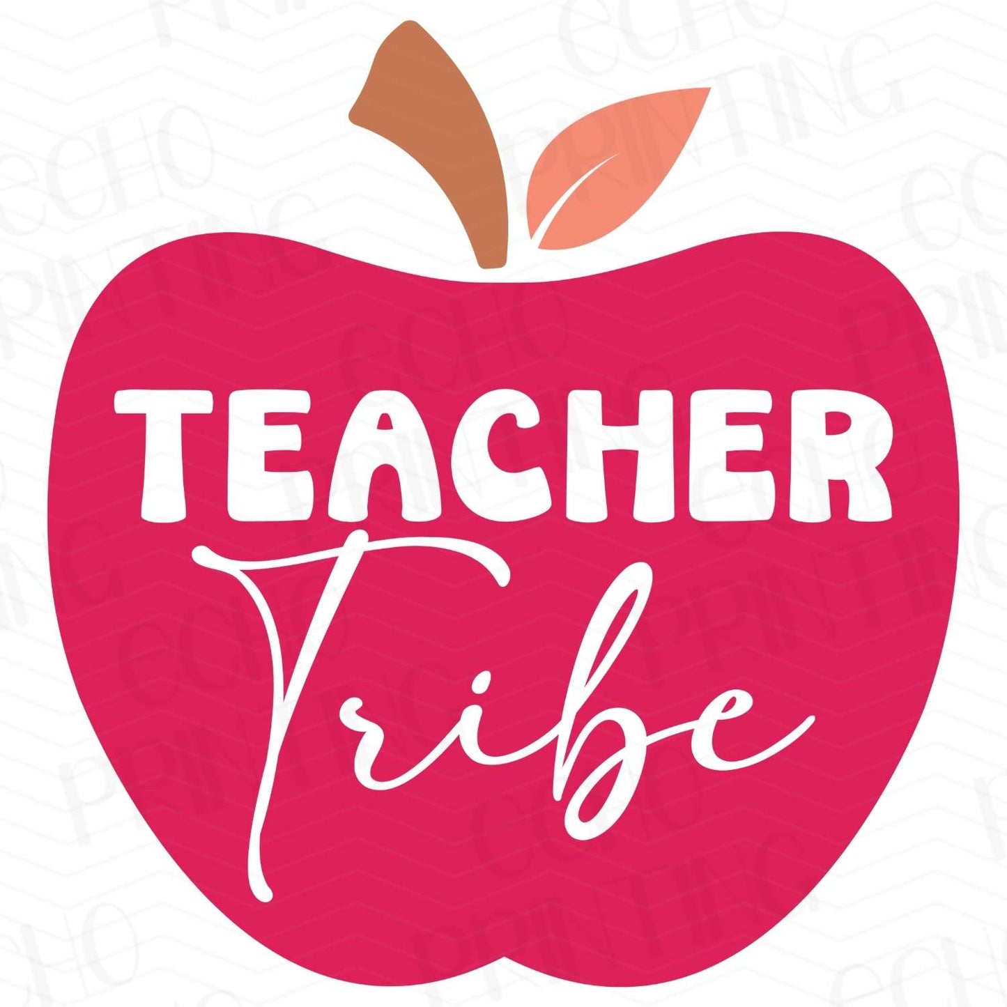 TCHR 70 – TEACHER TRIBE