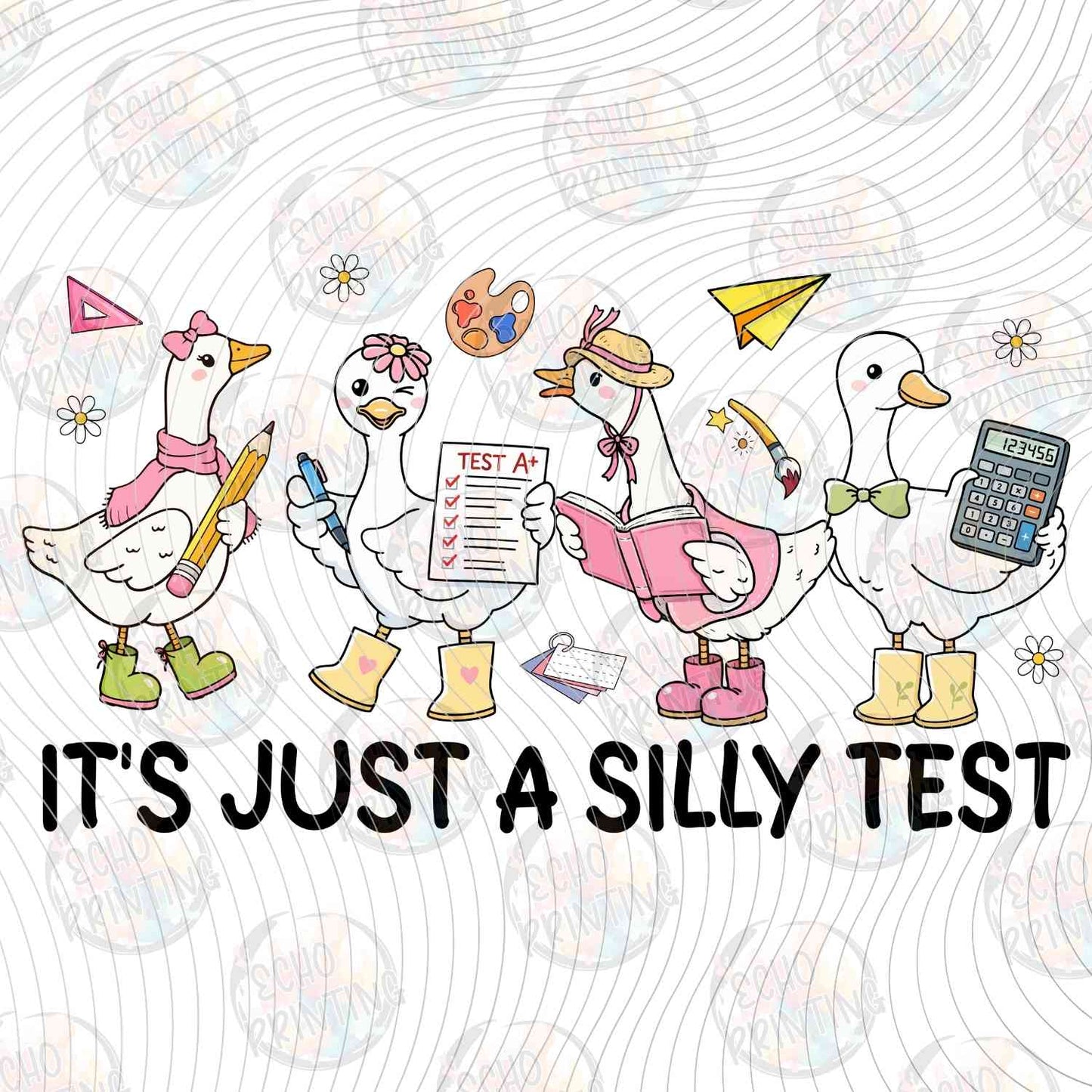 TSDG 19 - JUST A SILLY TEST GEESE
