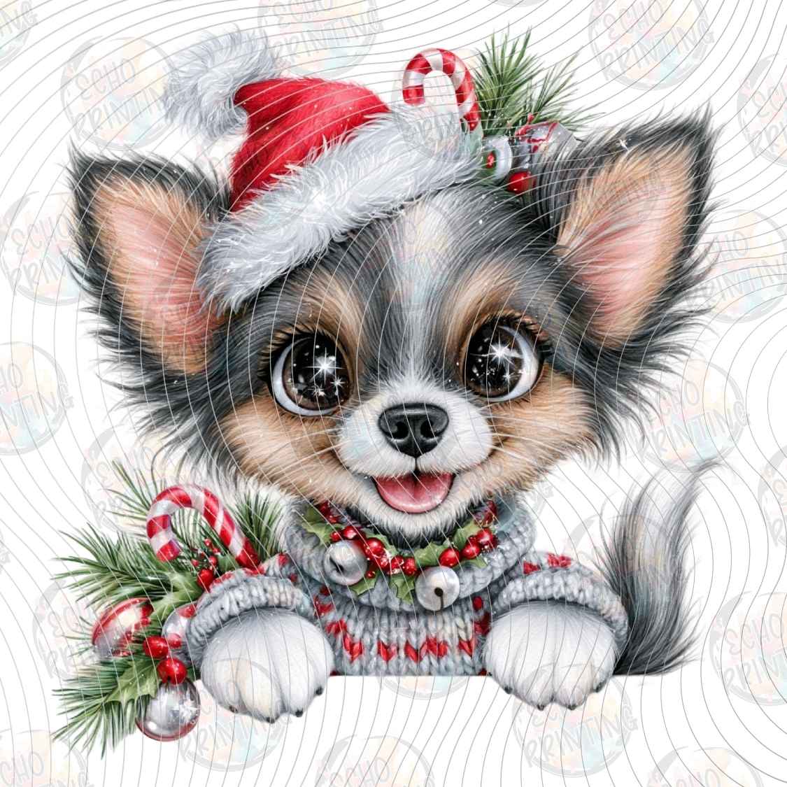 WNXM 3911 - FESTIVE PUP PORTRAIT