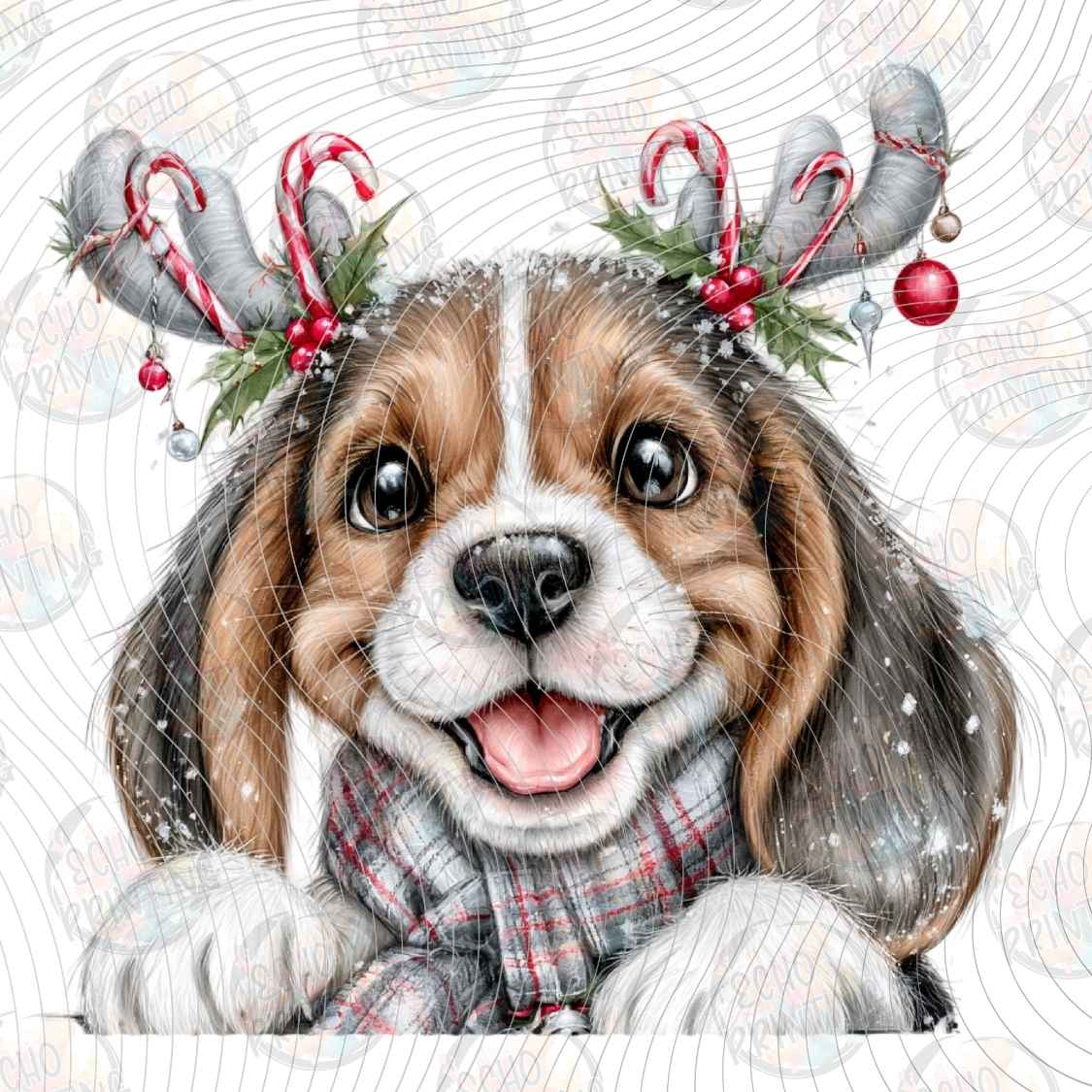 WNXM 3912 - REINDEER EAR PUP