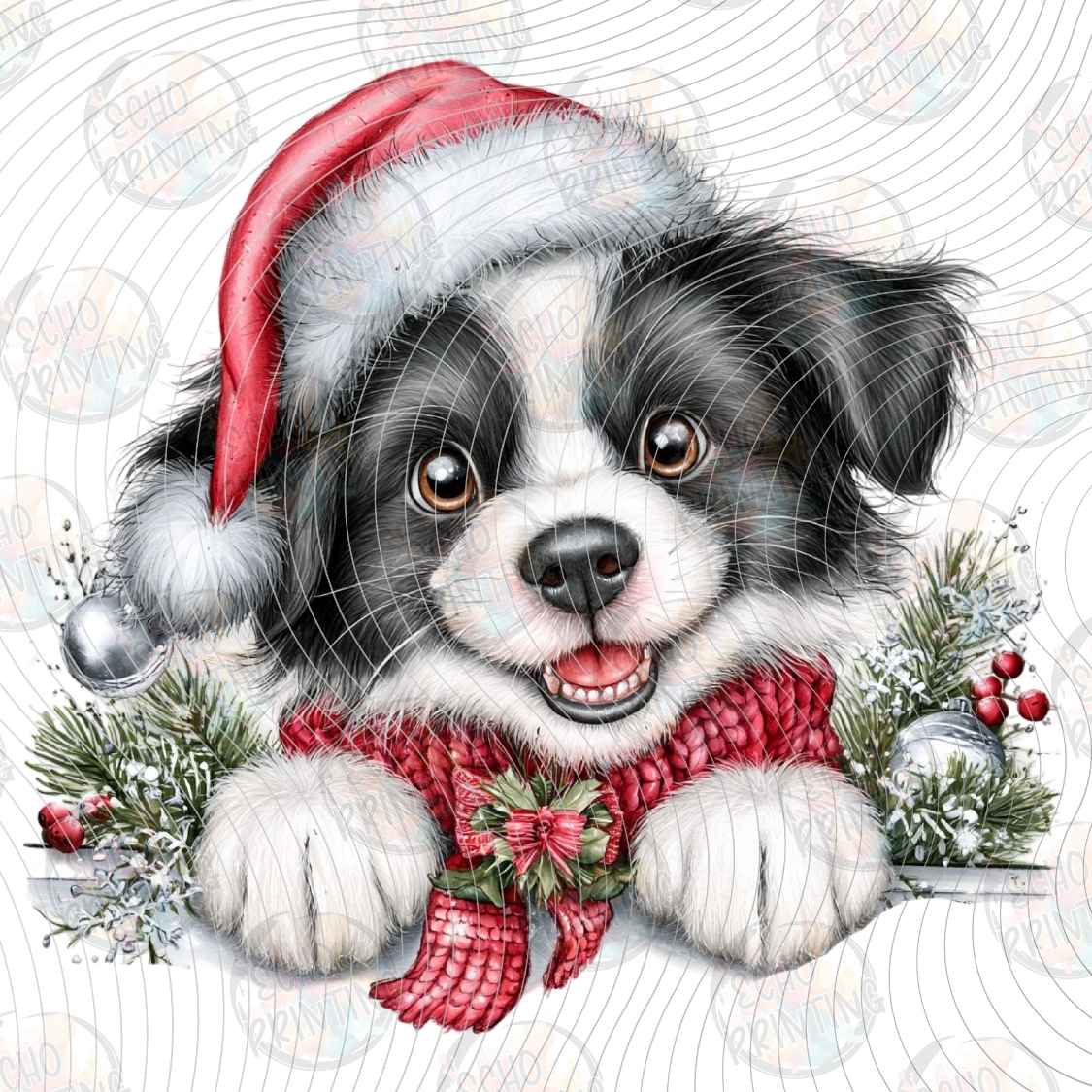 WNXM 3917 - CHRISTMAS BORDER COLLIE