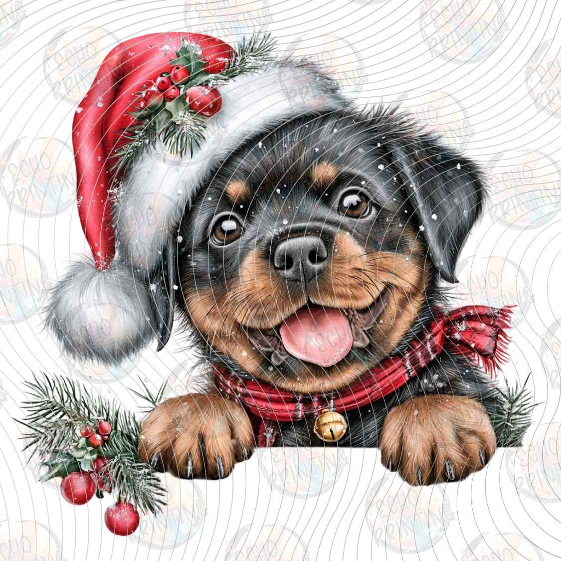 WNXM 3926 - HOLIDAY ROTTWEILER PUP
