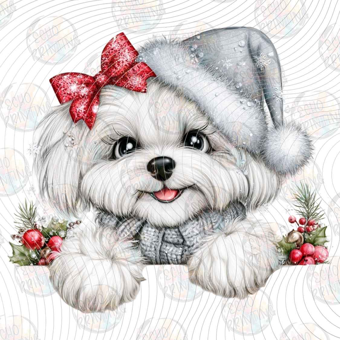 WNXM 3927 - WINTER WHITE PUP