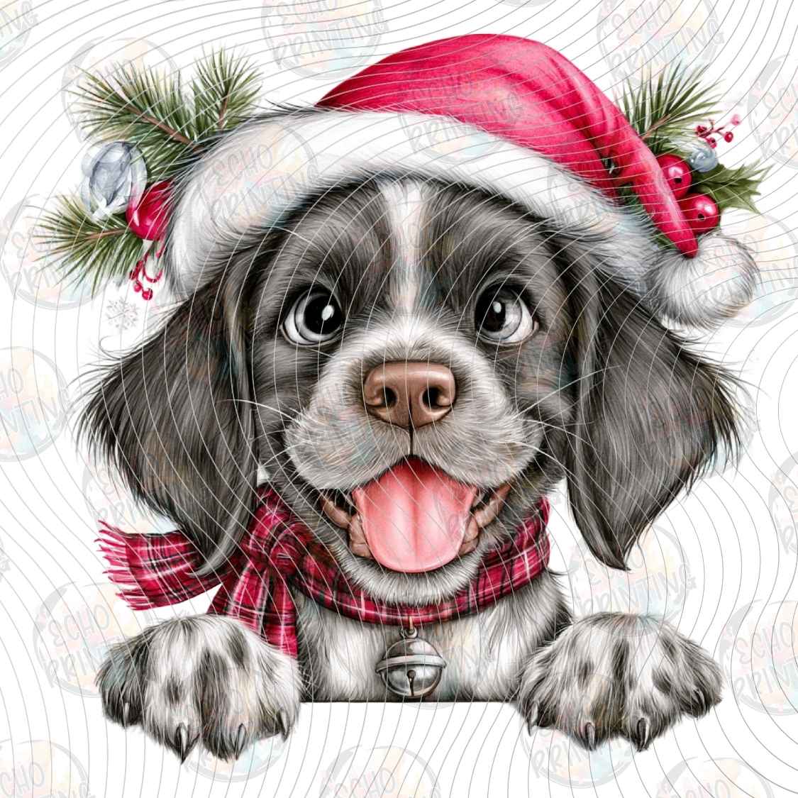 WNXM 3930 - WINTER LABRADOR PUP