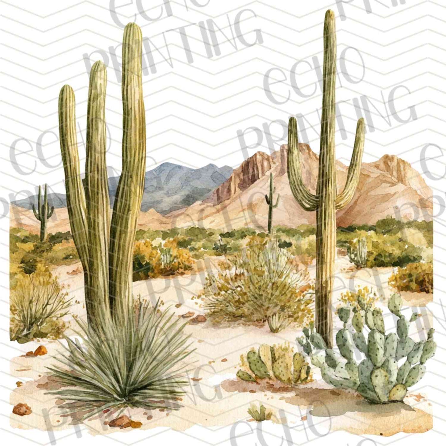 WSTNG 196 - DESERT CACTUS LANDSCAPE