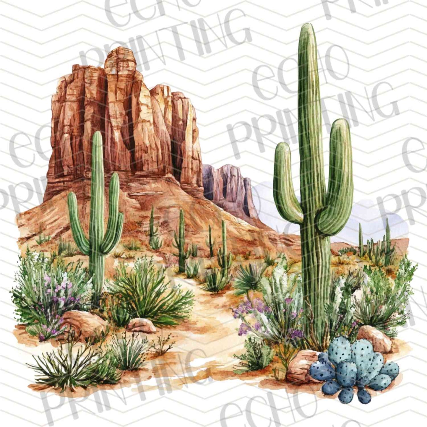 WSTNG 211 - DESERT CACTUS LAND