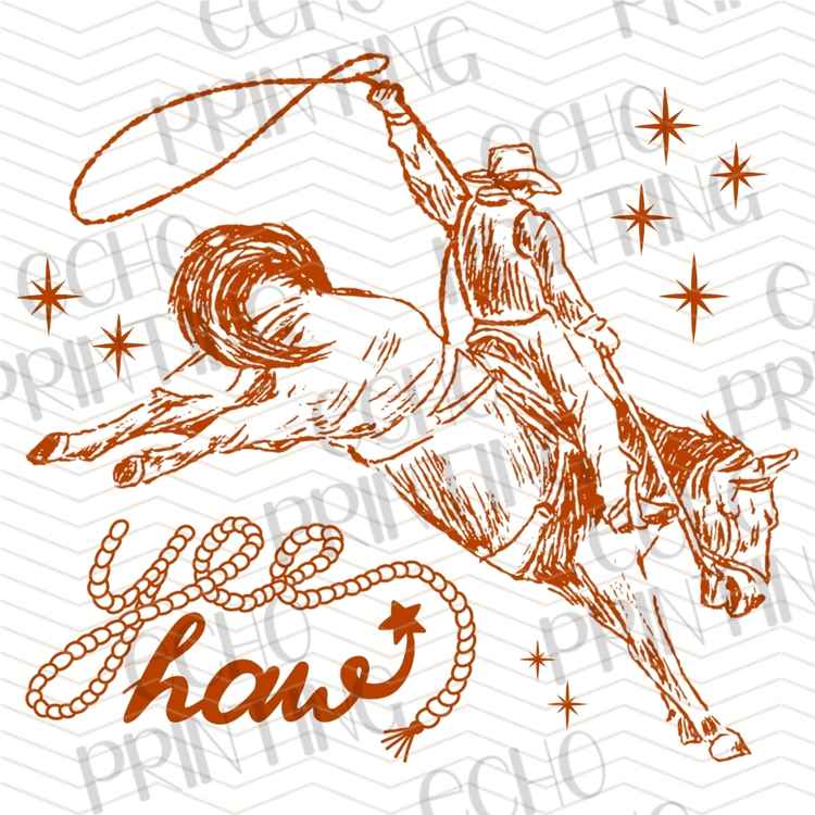 WSTNG 406 - HOWDY COWBOY RODEO STYLE