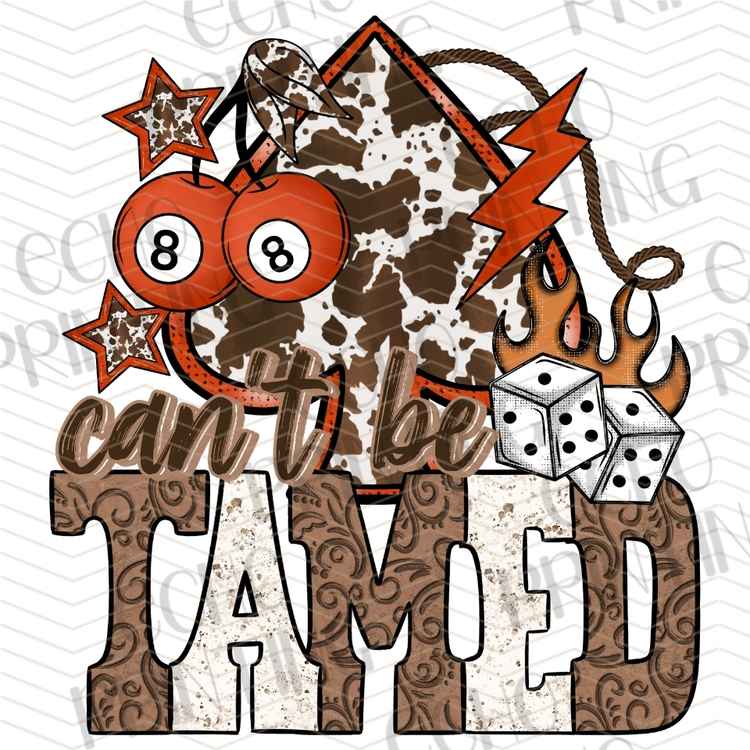 WSTNG 410 - CANT BE TAMED WESTERN
