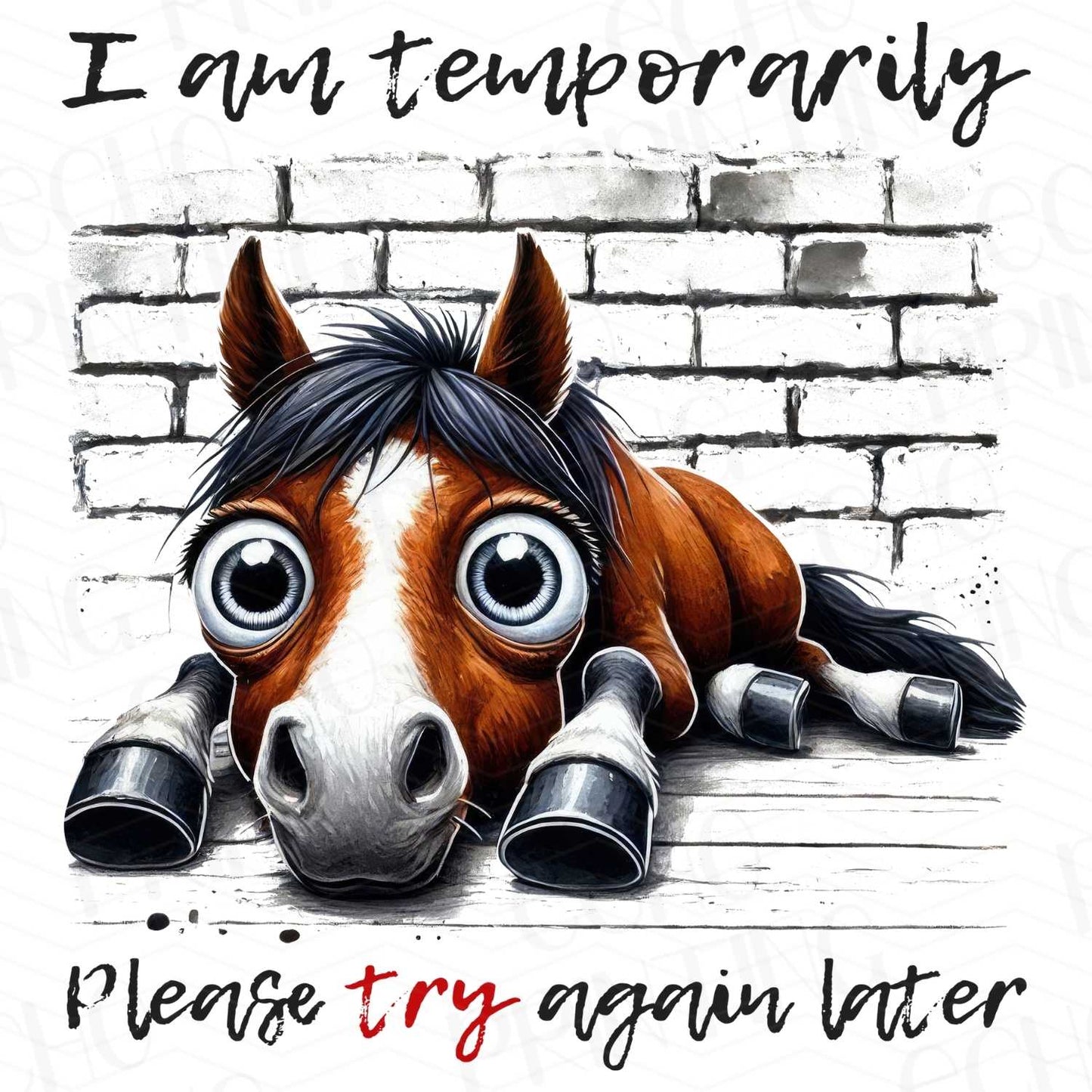 FSSG 117 - I AM TEMPORARILY OUT TRY AGAIN LATER