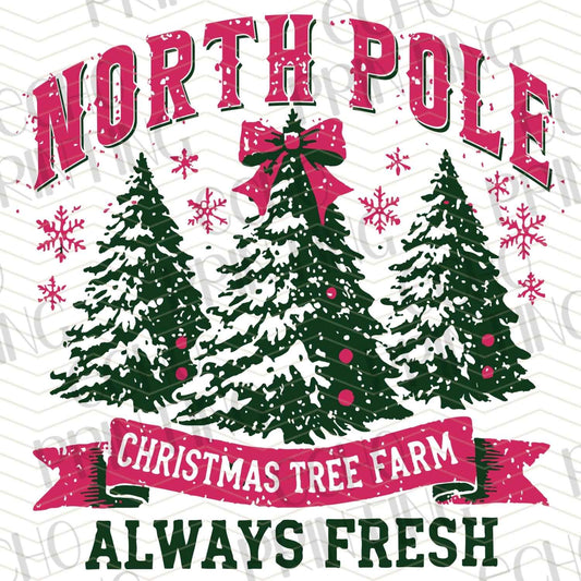 WNXM 194 - NORTH POLE