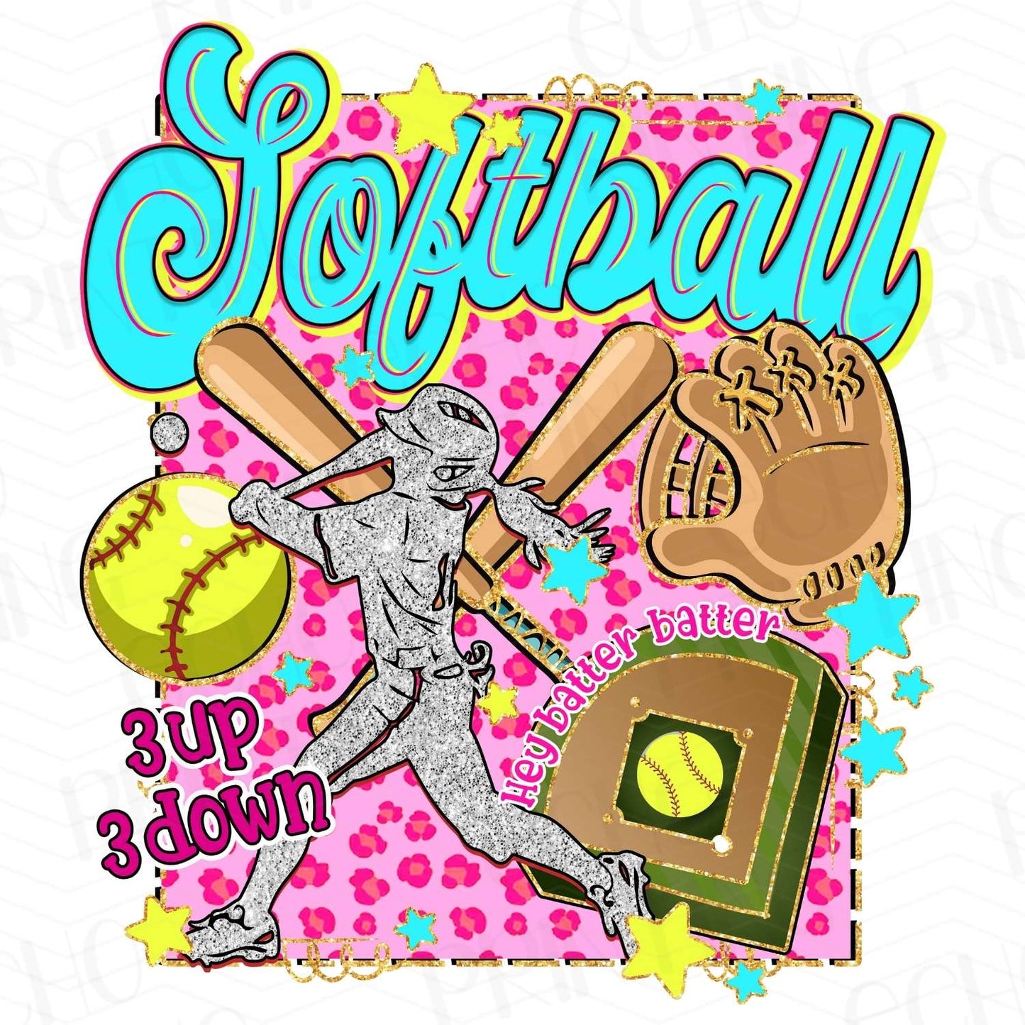 BSB 201 - SOFTBALL PLAYER