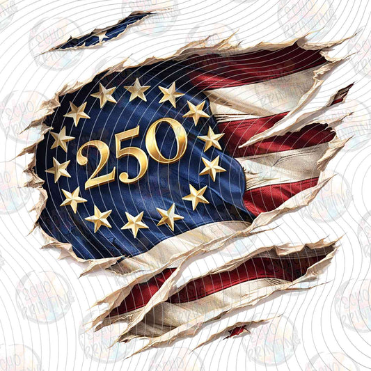 250Y 12 - 250 AMERICAN FLAG WAVING