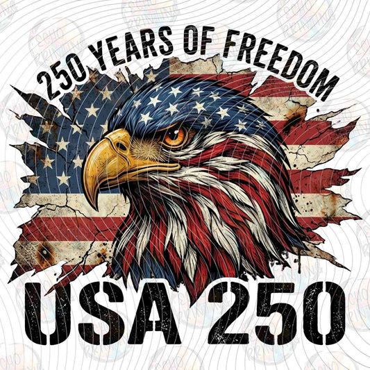 250Y 7 - USA 250 EAGLE FLAG