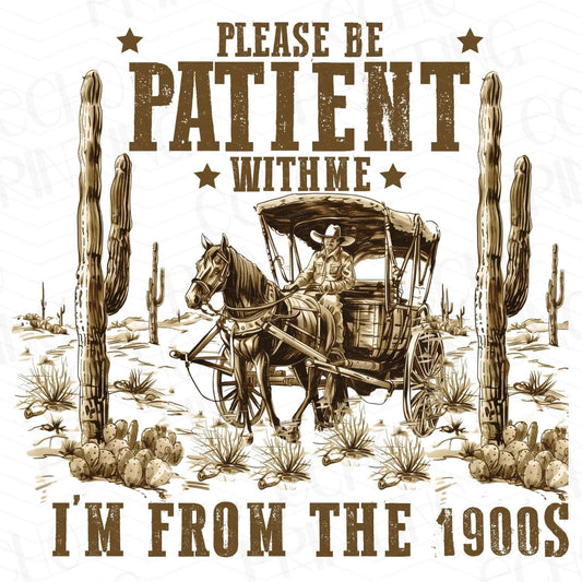 WSTNG 3 - PLEASE BE PATIENT I'M FROM THE 1900S