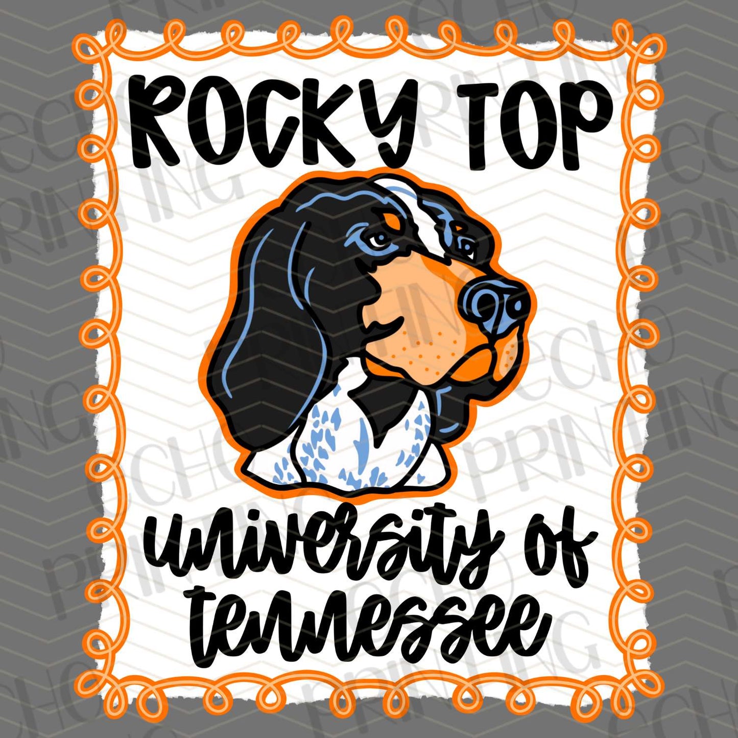 CGM 3 - ROCKY TOP