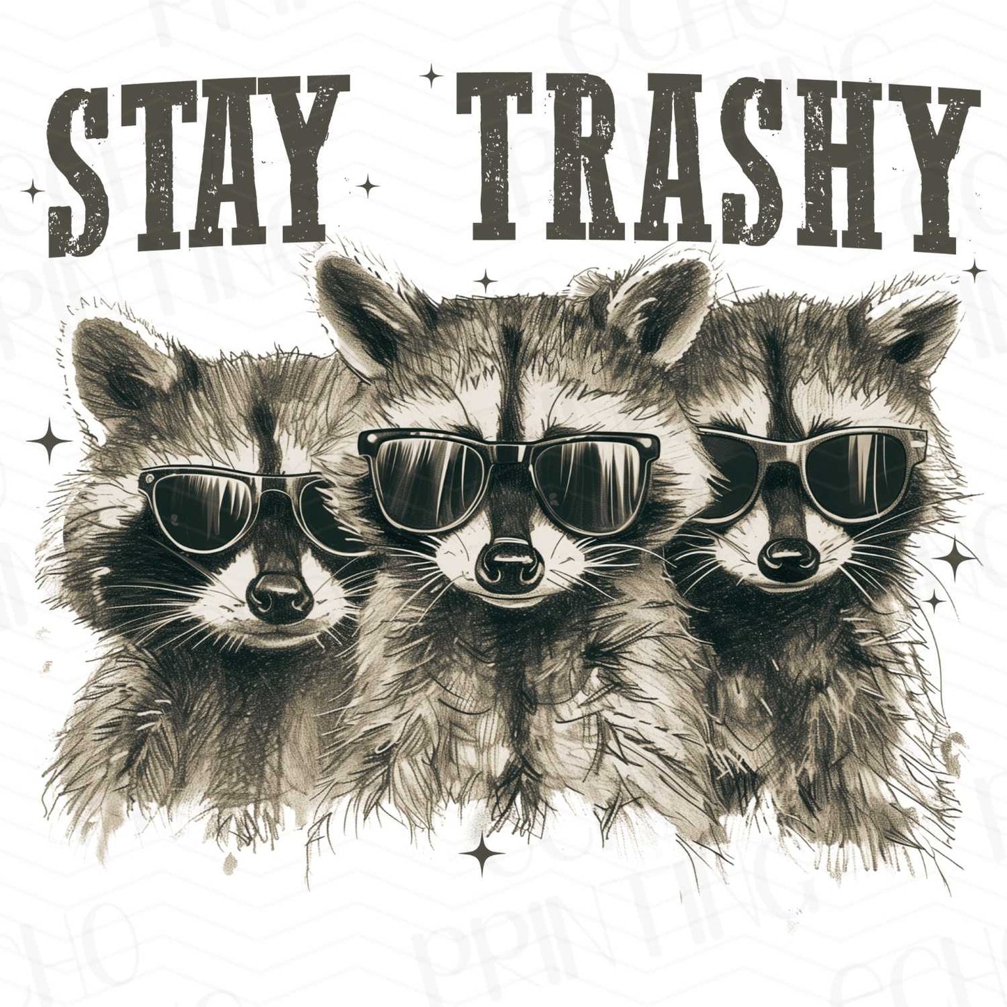 FSSG 41 - STAY TRASHY RACCOONS
