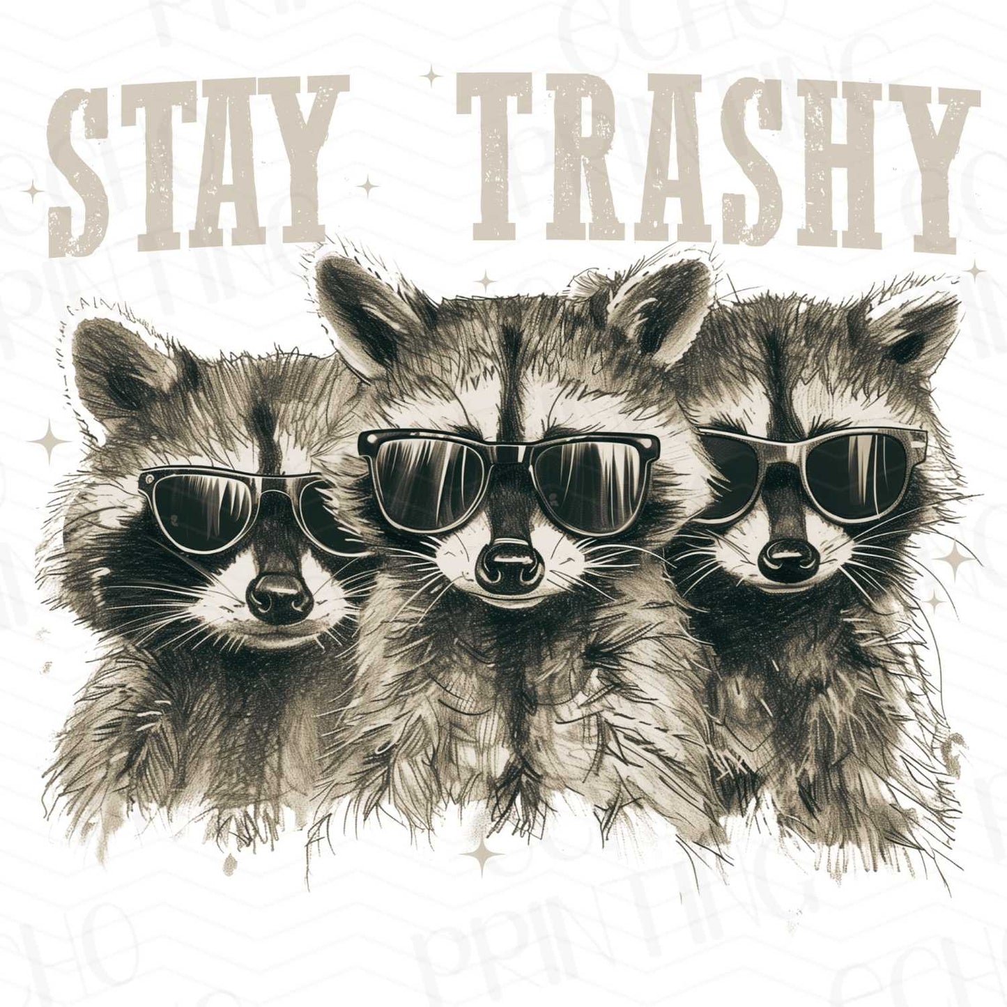 FSSG 42 - STAY TRASHY RACCOONS GOLD