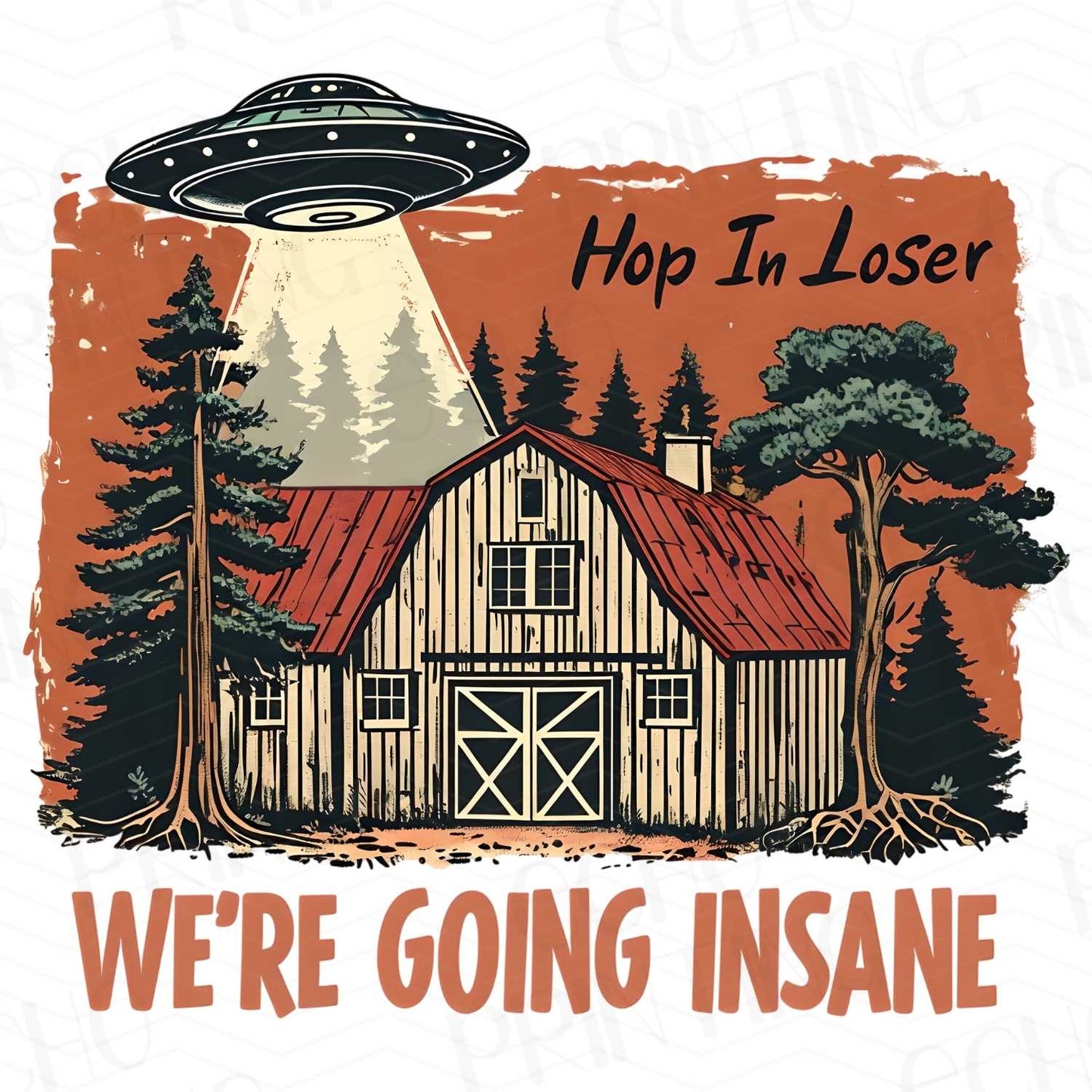 FSSG 81 - WE ARE GOING INSANE CABIN