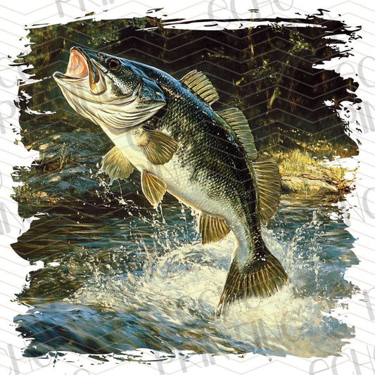 FSHT 262 - JUMPING BASS
