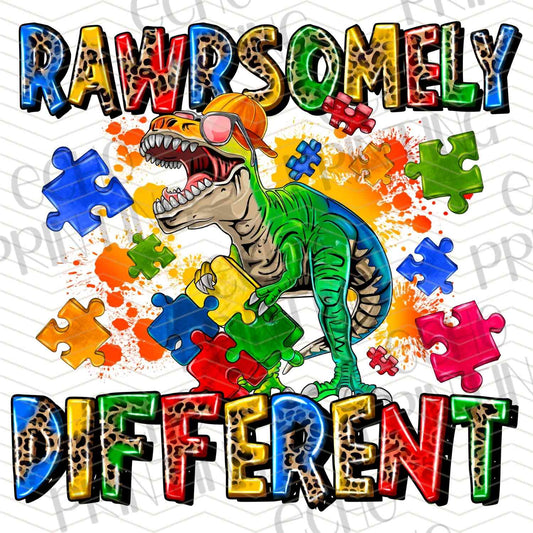 ATMSG 443 - RAWR-SOME DIFFERENT