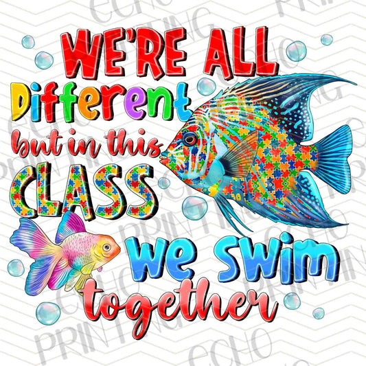 ATMSG 713 - WEÆ’??RE ALL DIFFERENT CLASS