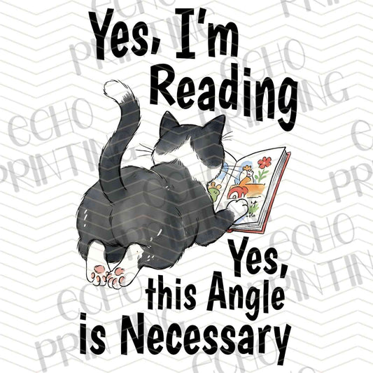 BKG 192 – READING CAT POSE
